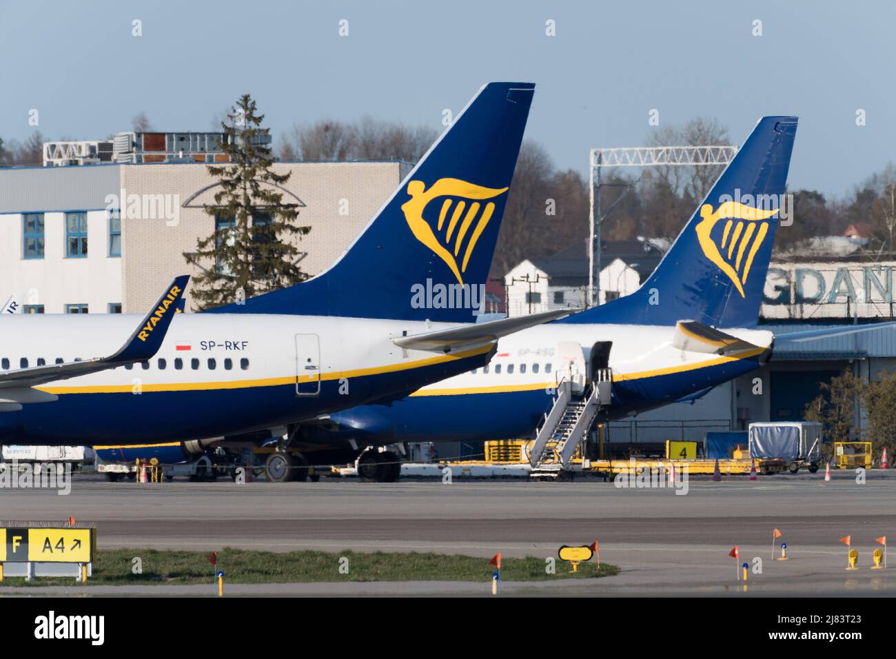 Compagnia aerea low cost Ryanair Aircraft Boeing 737-800 a Gdansk, Polonia © Wojciech Strozyk / Alamy Stock Photo *** Local Caption *** Foto Stock