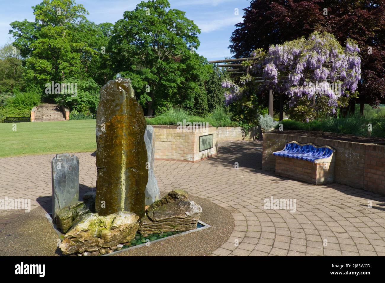 Il Giardino sensoriale nel Parco del Castello di Colchester, con la Wisteria in piena fioritura Foto Stock