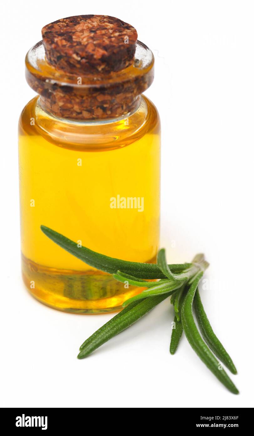 Fresche biologiche con rosmarino olio essenziale su sfondo bianco Foto Stock