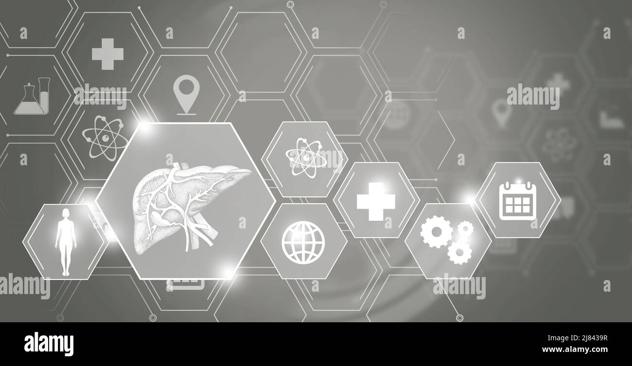 Organo interno umano aiuto di emergenza del fegato e protezione dalle malattie. Tavolozza dei modelli grigi, spazio di copia per il testo. Foto Stock