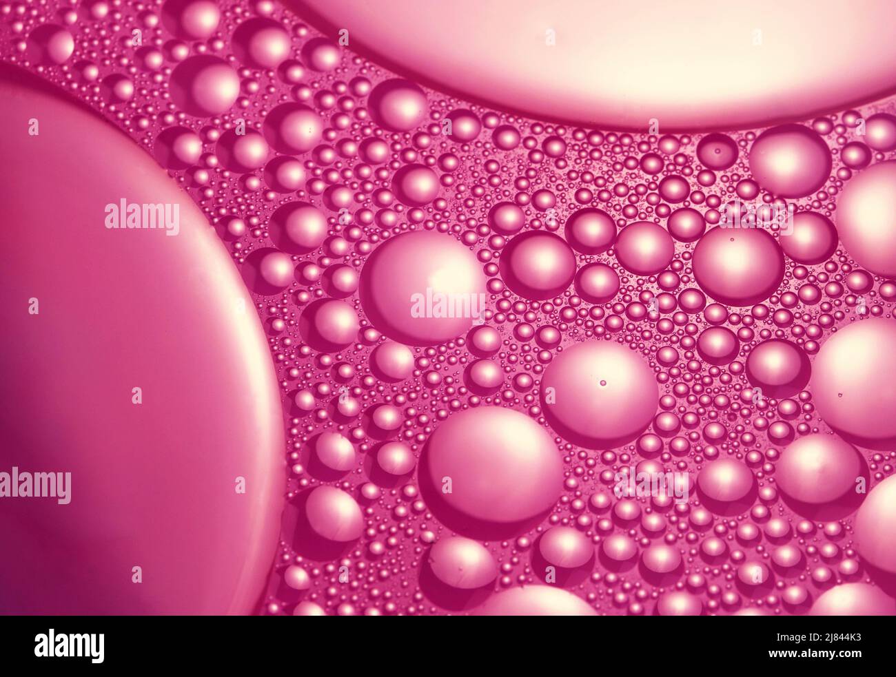 sfondo astratto palline d'olio rosa Foto Stock