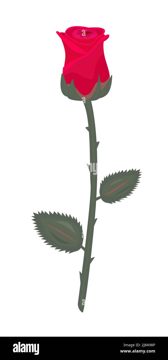 Rosa rossa singola con gambo e foglie, illustrazione luminosa Illustrazione Vettoriale