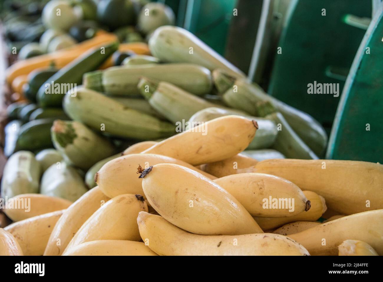 Ortaggi in vendita presso un mercato agricolo. Primo piano di verdure. Foto Stock