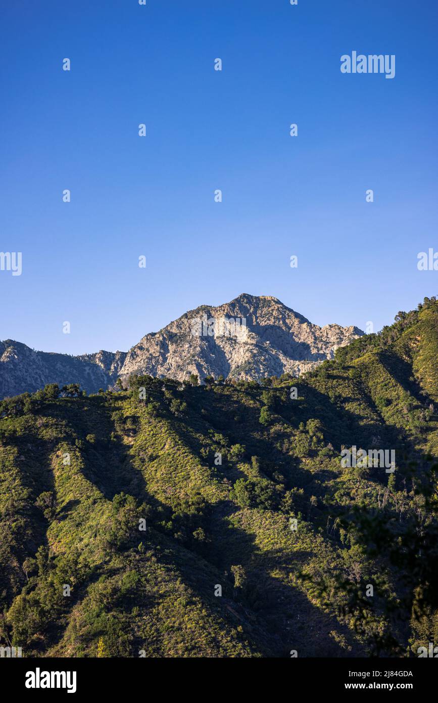 Ventana Double Cone come visto dal Pine Ridge Trail a Big sur CA Foto Stock