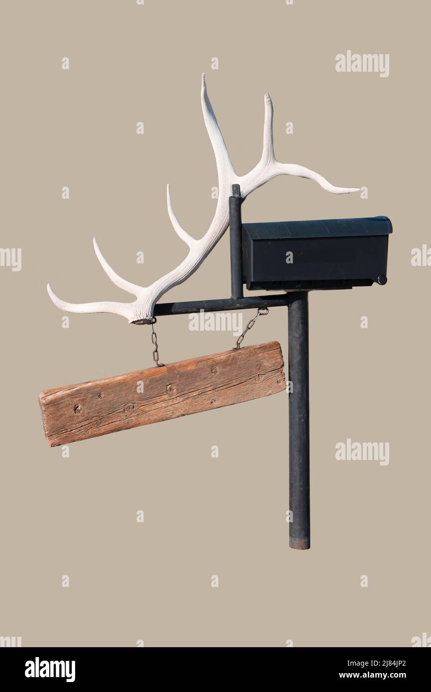 Isolato primo piano decorato casella di posta sul lato della strada ha corno cervi corno e vecchio asse di legno per messaggio o firma. Spazio per messaggi di testo. Foto Stock