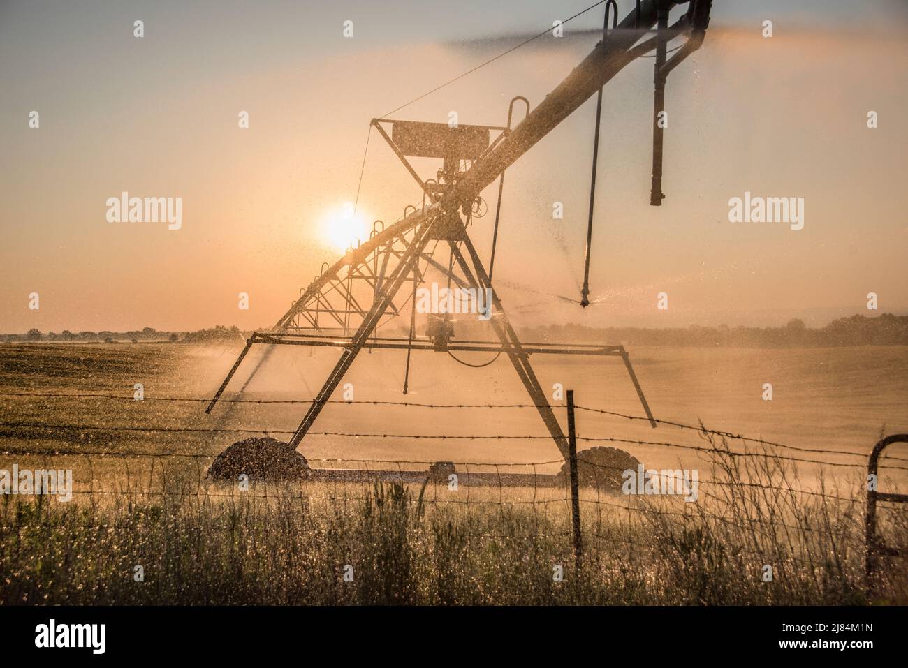 Irrigatore di perno irriga un raccolto di grano sotto un sole che guarda, parchi di cervo, wmu, Menan, Idaho, STATI UNITI Foto Stock