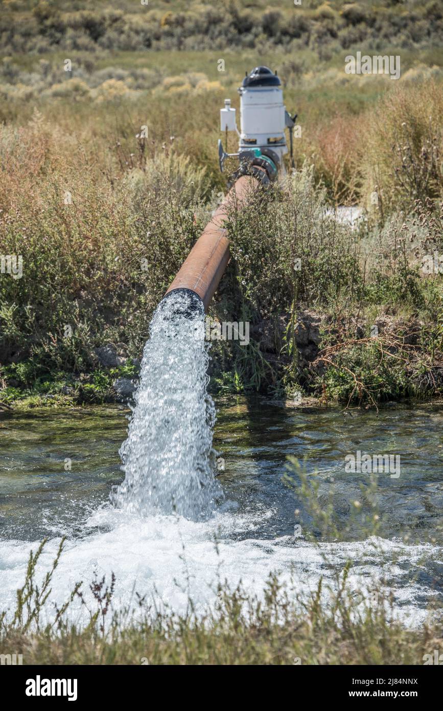 L'acqua freatica si riversa da una pompa di irrigazione in un canale per essere consegnata a un campo, Camas NWR, Hamer, Idaho, USA Foto Stock