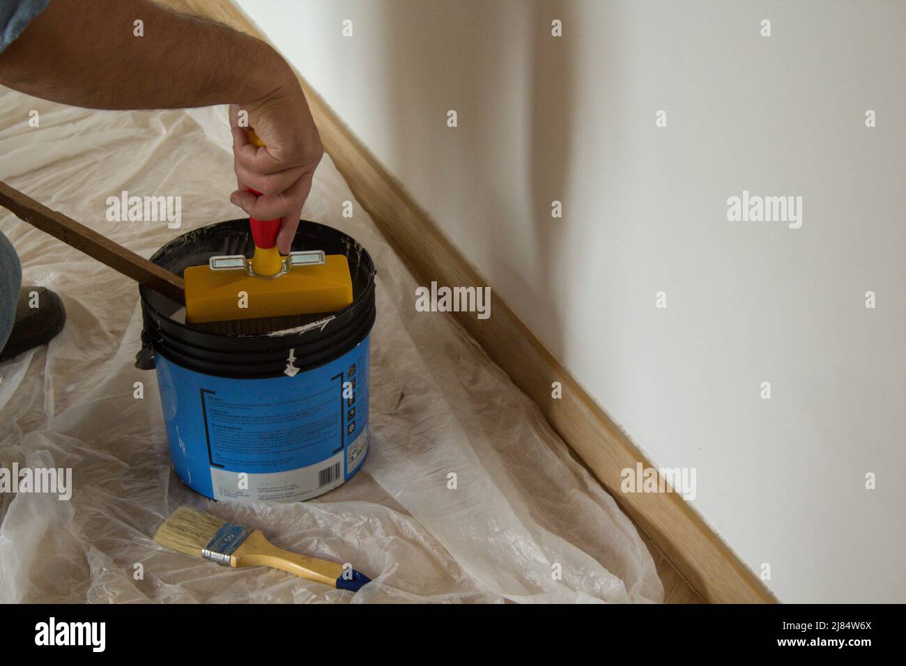 Mano di un pittore che bagna spazzola in secchio di vernice mentre dipinge una parete della casa Foto Stock