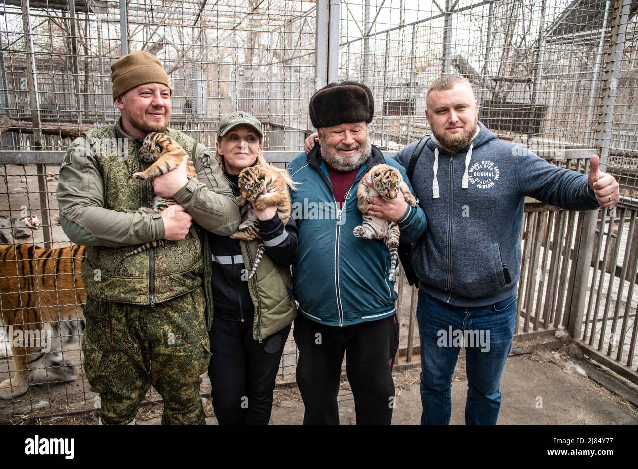 Mariupol, Ucraina. 01st Apr 2022. I deputati della Repubblica popolare di Donetsk e gli operai dello zoo di Mariupol posano con le tigri dei bambini dopo ripetuti bombardamenti e uccisioni fino a metà degli animali del sito. La battaglia tra le forze russe/Pro russe e le forze ucraine difese dirette dal battaglione Azov continua nella città portuale di Mariupol. Credit: SOPA Images Limited/Alamy Live News Foto Stock