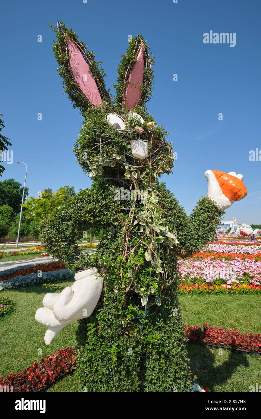 Colorful bugs immagini e fotografie stock ad alta risoluzione - Alamy