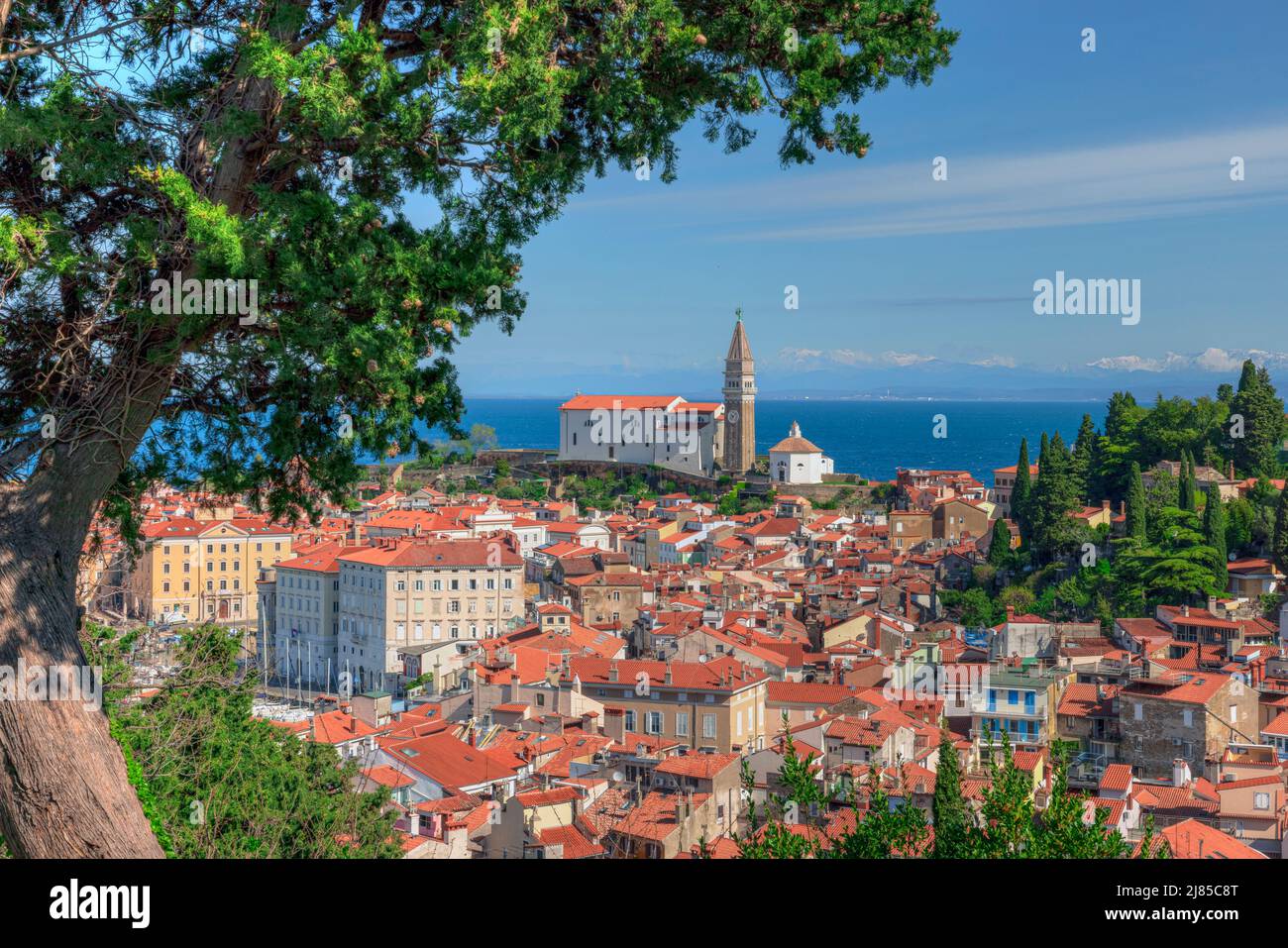 Pirano, Istria, Litorale, Slovenia, Europa Foto Stock