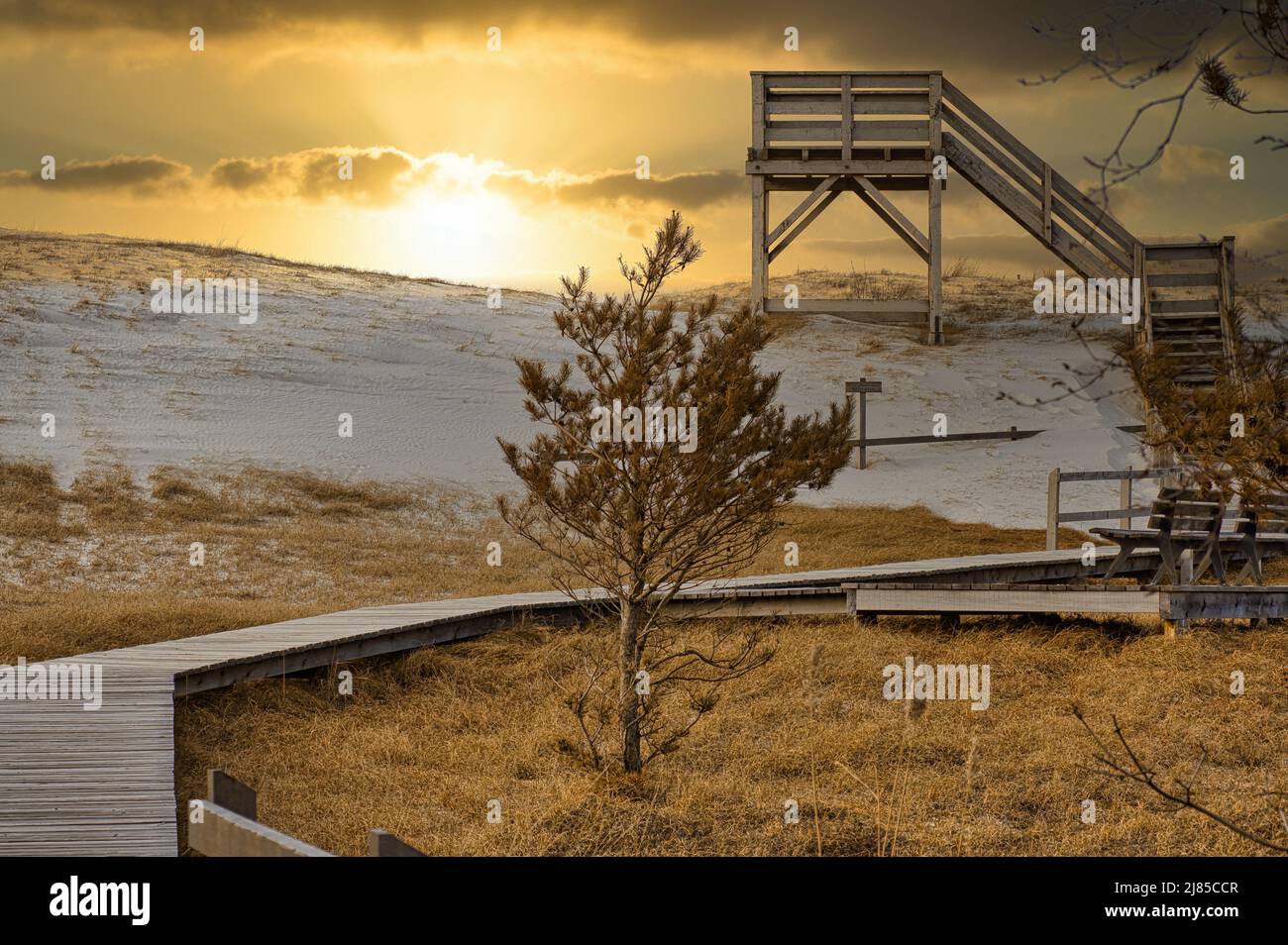 Tramonto alla torre di osservazione presso l'alta duna sul Darss. Parco Nazionale in Germania. Vista sul lungomare, mare, Mar Baltico, sabbia, foresta e cielo. Foto Stock