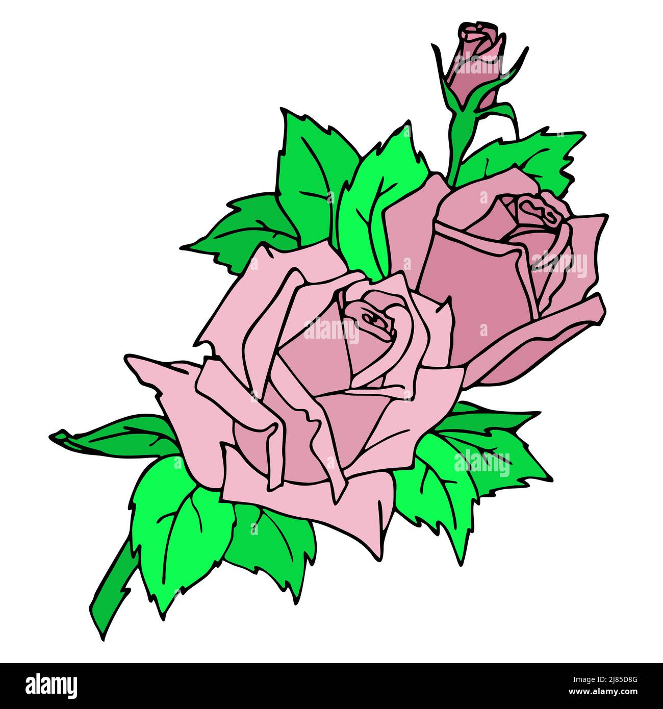 carta grafica a colori con un ramo di rosa rosa su sfondo bianco, disegno di contorno, arte Foto Stock