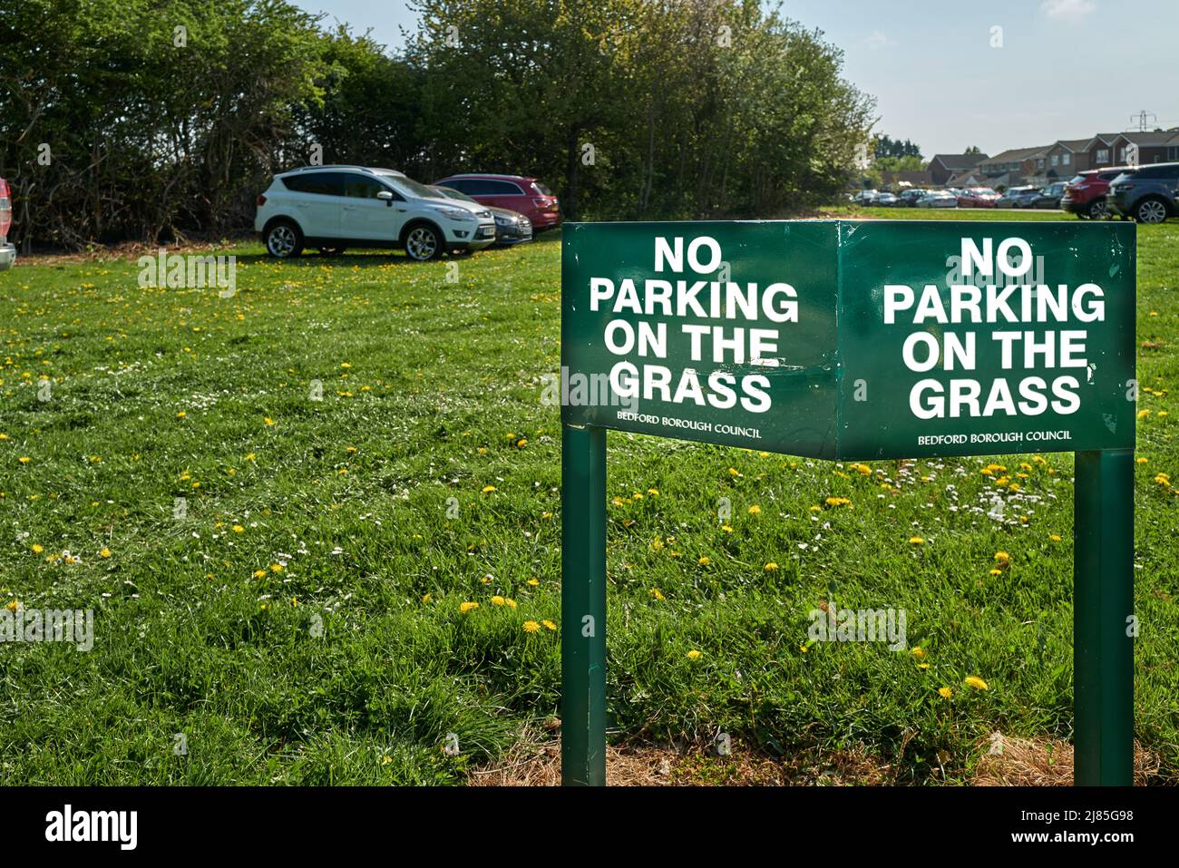 Le auto parcheggiate nonostante il cartello "no parking on the grass", Bedford, Inghilterra. Foto Stock