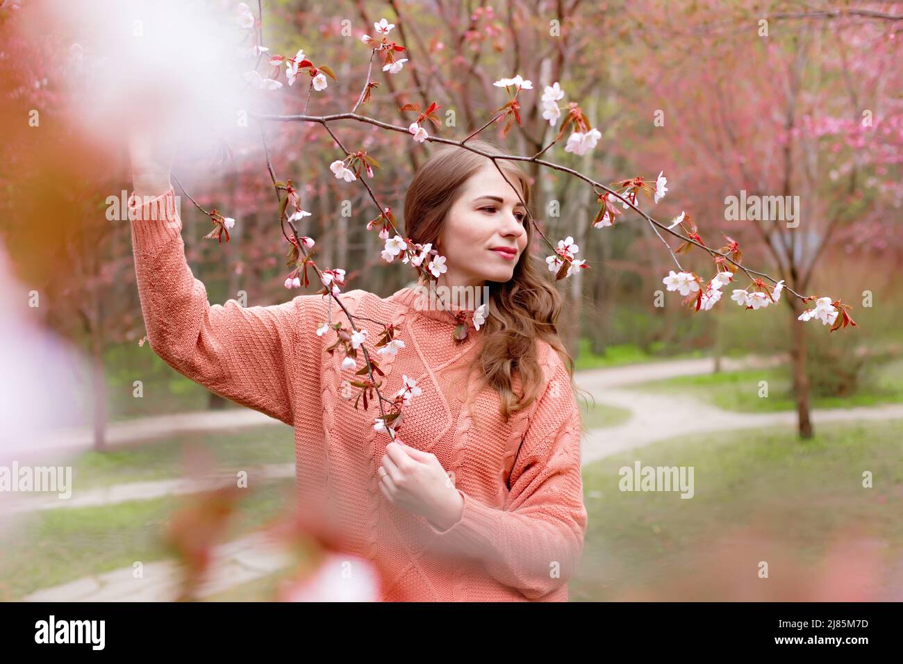 Donna in piedi sotto il ramo rosa Sakura in fiore nel parco Foto Stock