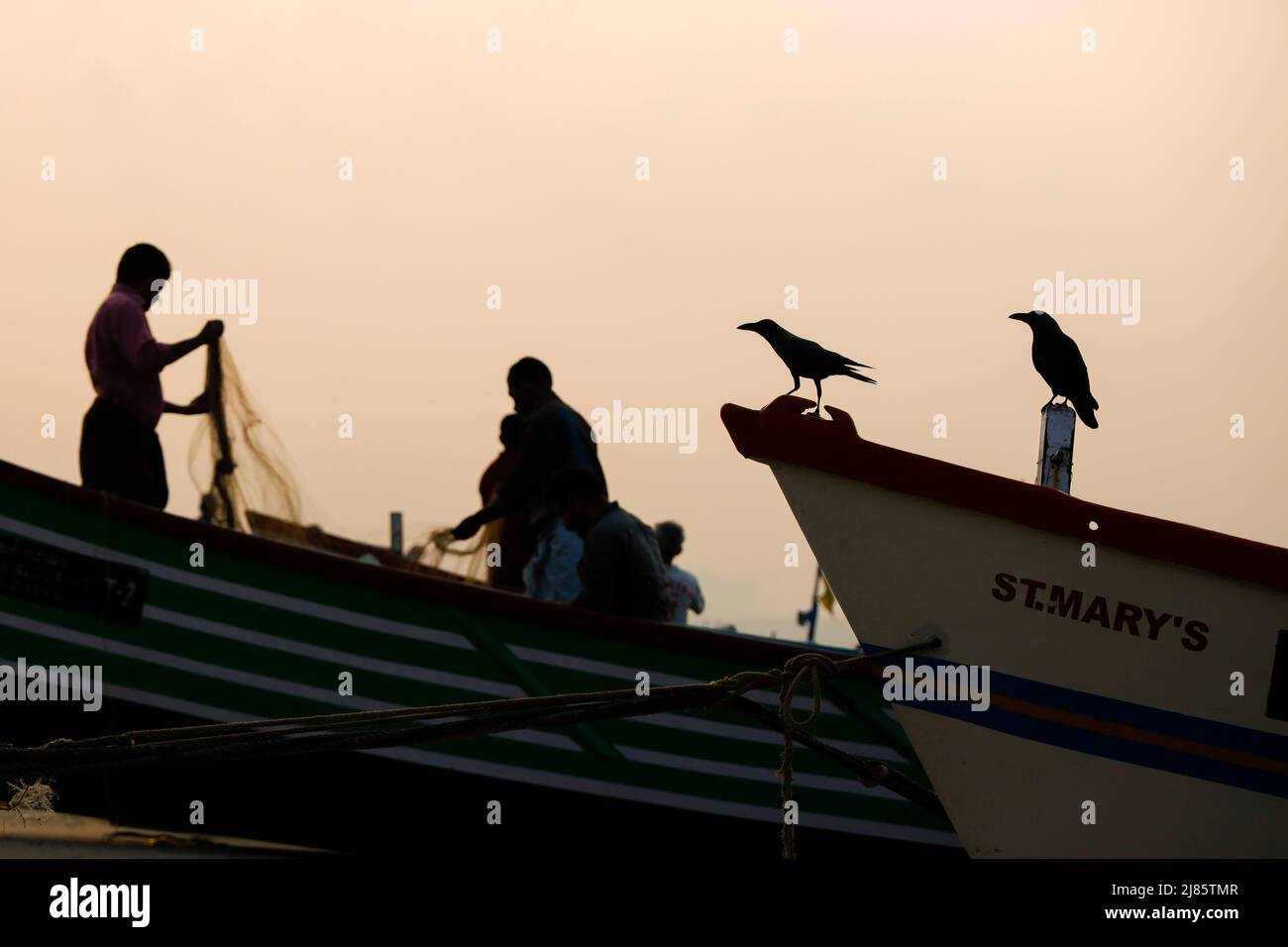 Due corvi che guardano i pescatori in piedi in barca che tiene la rete di pesca, Tangassery, Kerala, India. Foto Stock