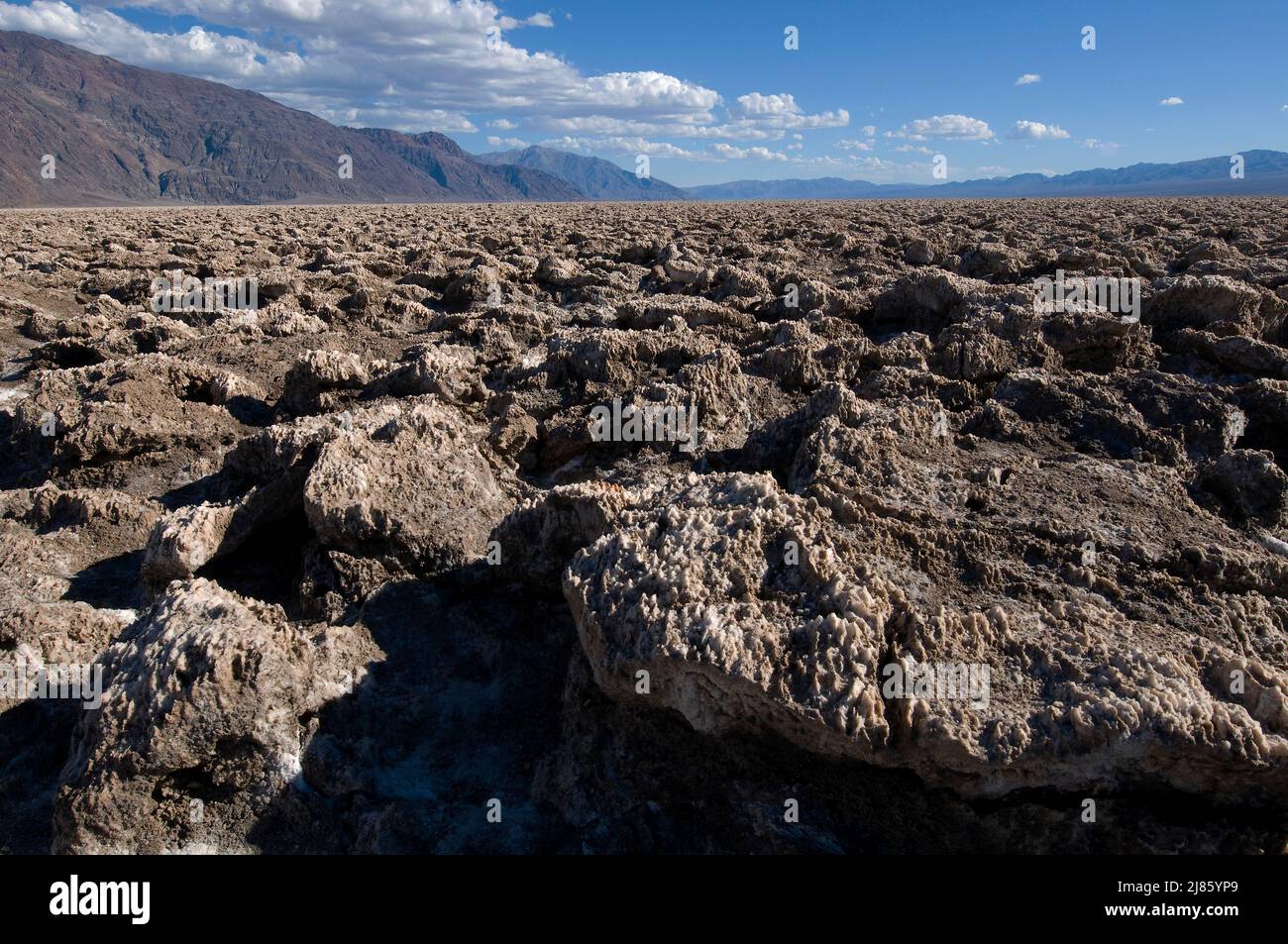 Campo da golf del Diavolo Death Valley NP California USA Foto Stock