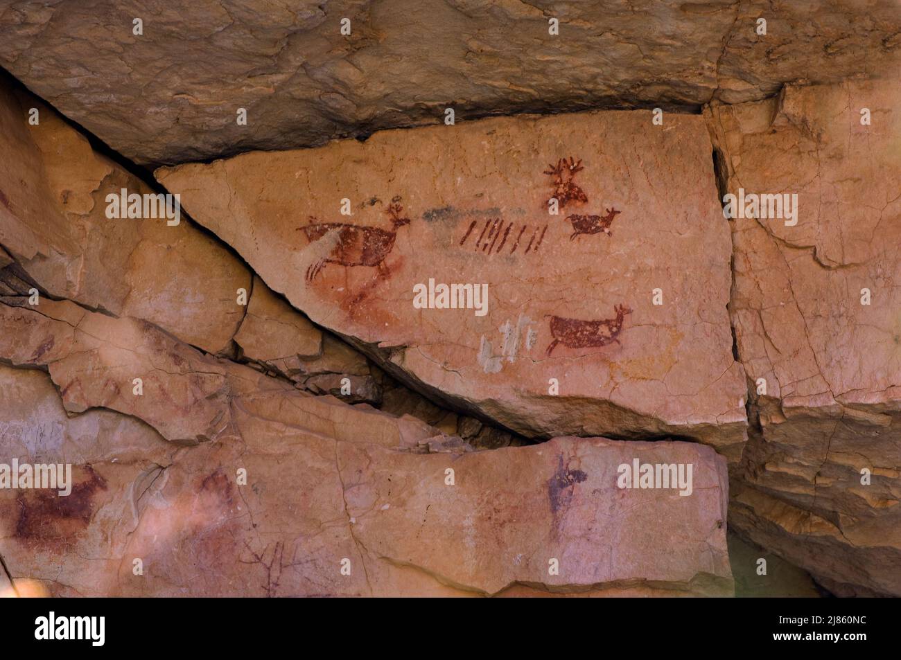 Pittogrammi Anasazi Grand Canyon Arizona USA Foto Stock