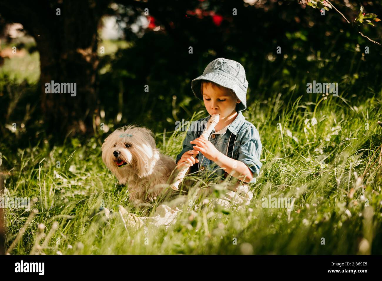 Bambino vestito con eleganza, ragazzo con cane da compagnia, giocando nel parco sul flauto, godendo della compagnia di amici a quattro zampe Foto Stock