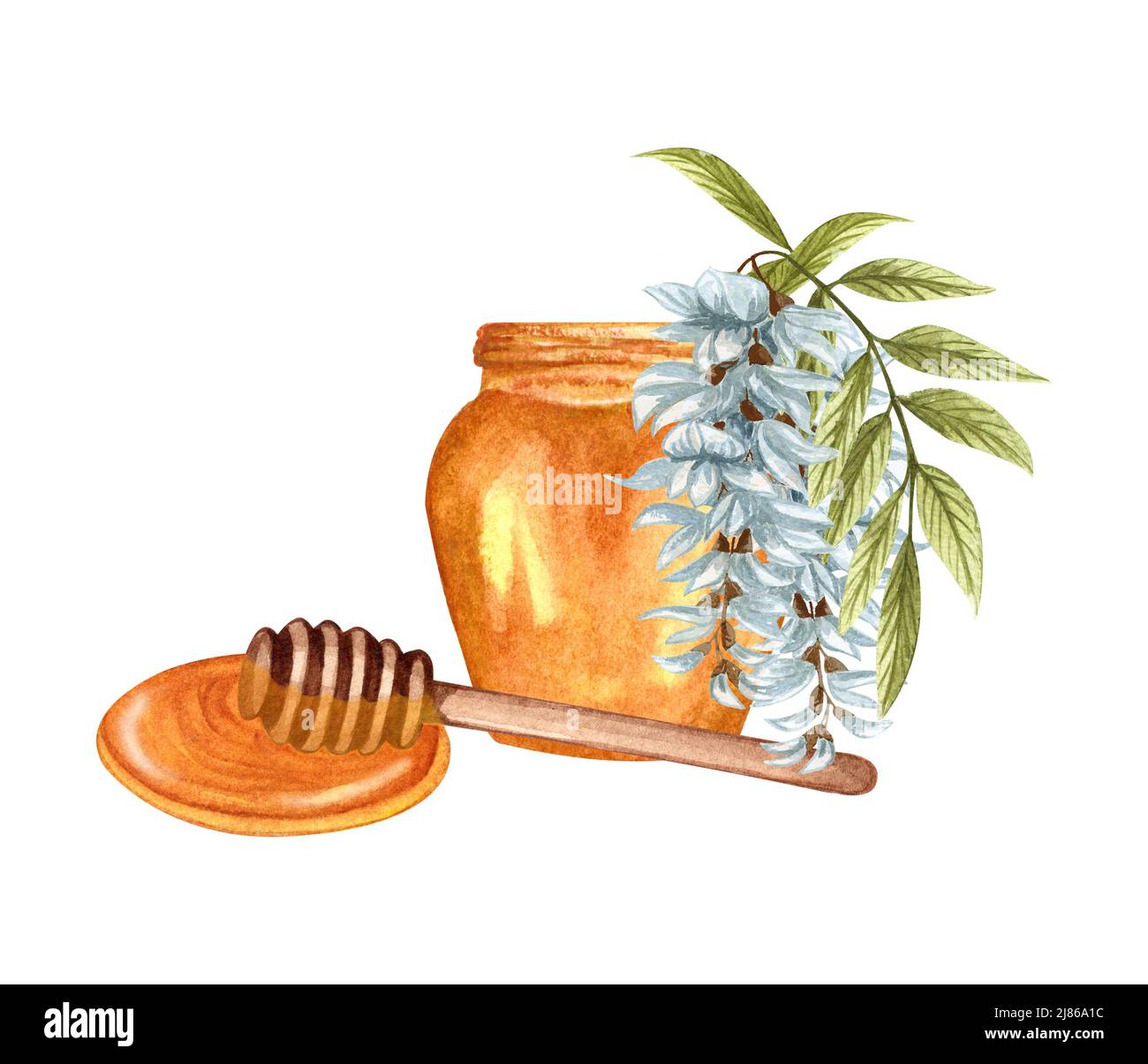 Illustrazione acquerello di miele di acacia su sfondo bianco. Set disegnato a mano bianco acacia glicine fiore, miele vaso e barile. Foto Stock