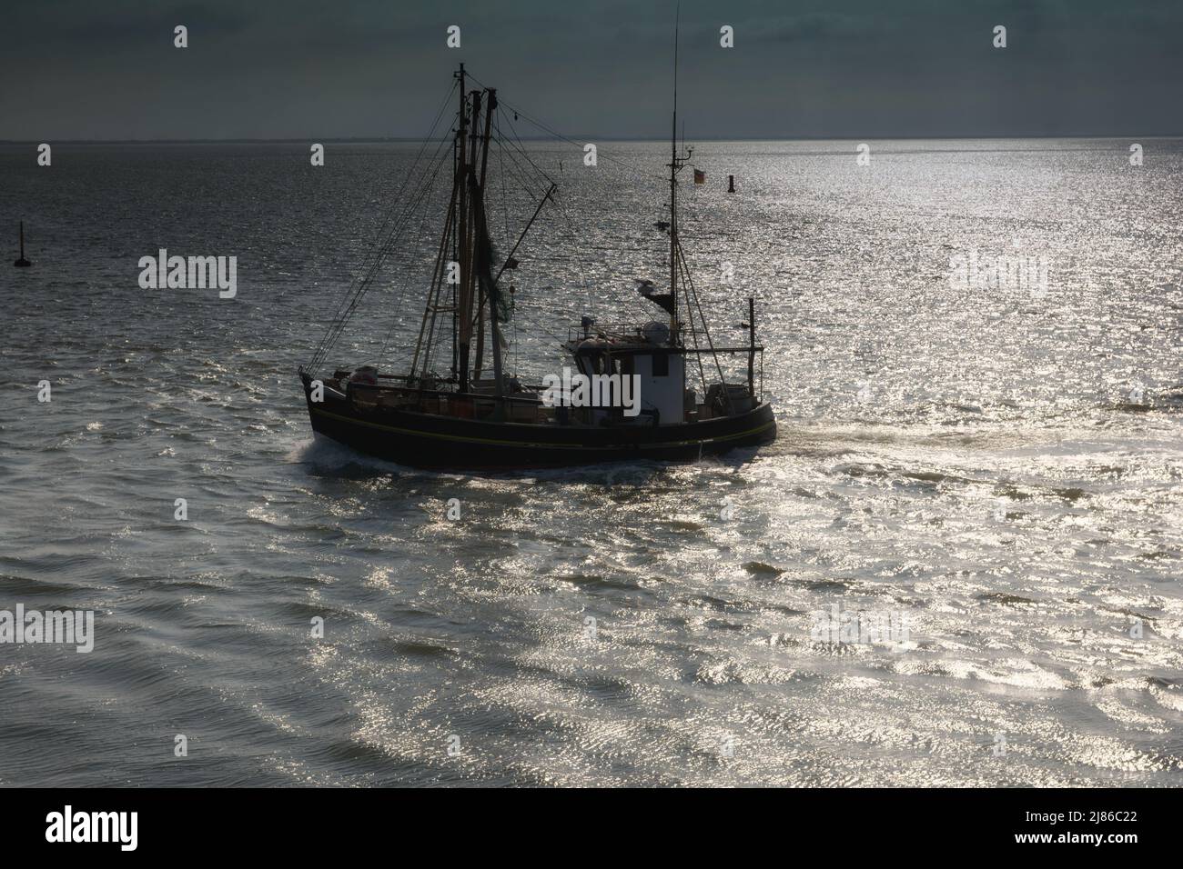 Barca di gamberi a Buesum, Mare del Nord, Frisia del Nord, Germania Foto Stock