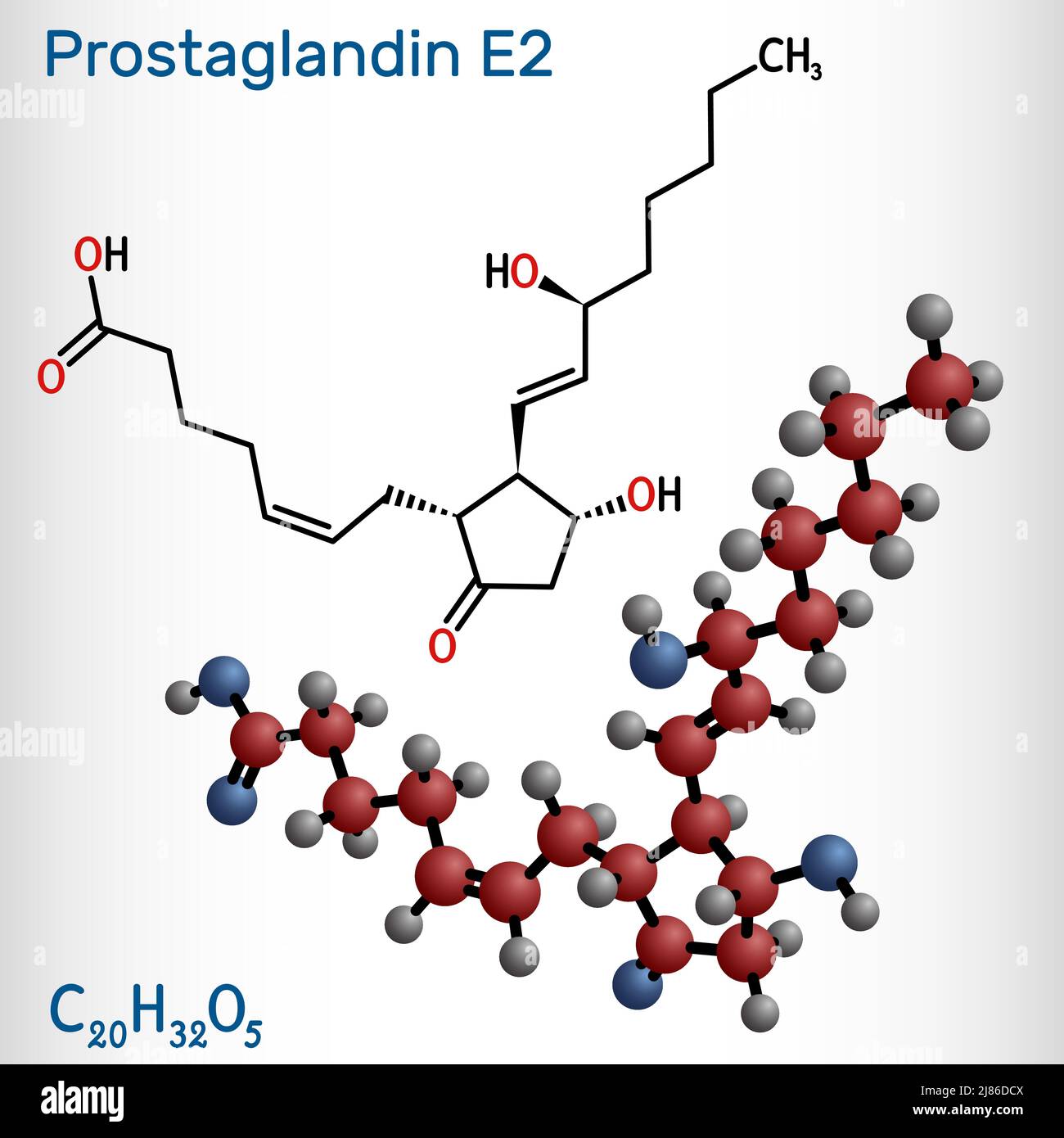 Prostaglandina E2, PGE2, molecola di dinoprotone. È usato per indurre il lavoro o l'aborto. Formula chimica strutturale e modello molecolare. Illustrazione vettoriale Illustrazione Vettoriale