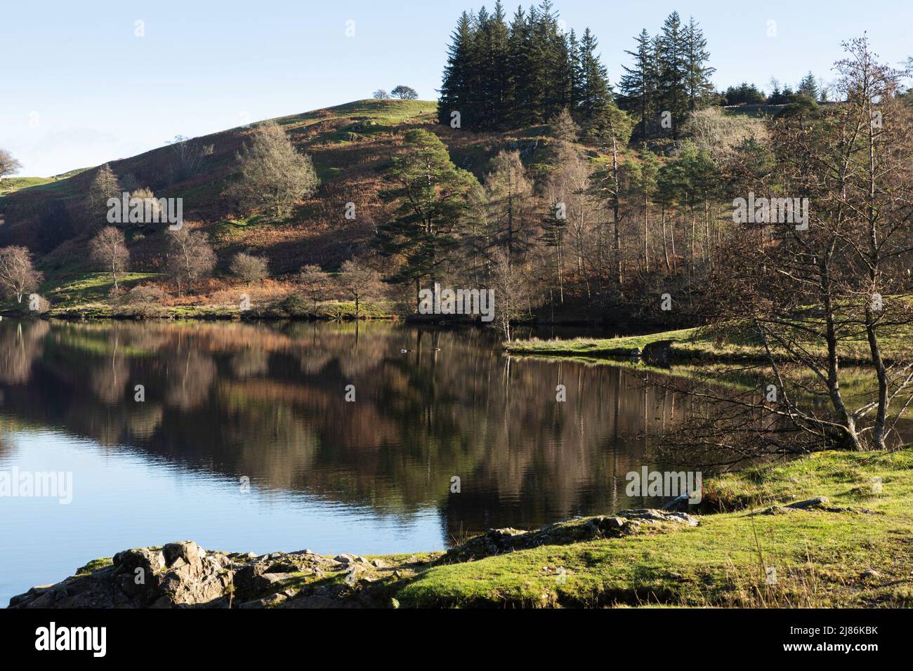 Vista di Tarn Hows nel Lake District National Park, alcuni colori autunnali e riflessi in acqua Foto Stock