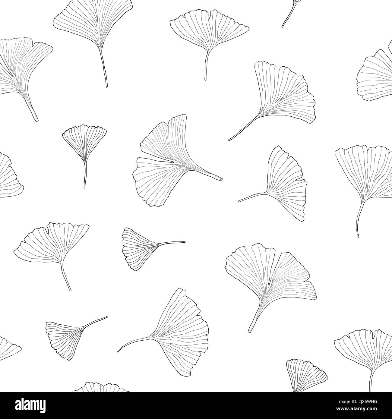 Disegno vettoriale di Ginkgo senza giunture. Ginkgo lascia la texture di moda doodle. Stampa moda in bianco e nero. Illustrazione Vettoriale