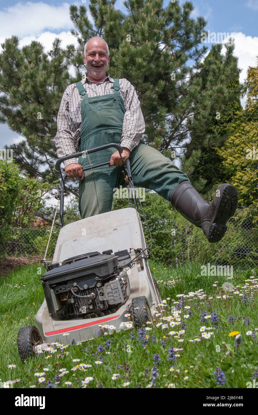 Divertente giardiniere senior falciando il prato dei fiori nel suo bel giardino. Lui ride nella macchina fotografica e solleva una gamba con una fioritura. Foto Stock