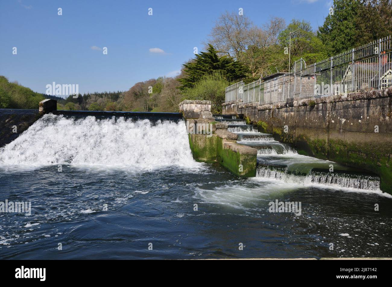 Diga di Lopwell sul fiume Tavy, vicino a Plymouth, Devon, Regno Unito Foto Stock