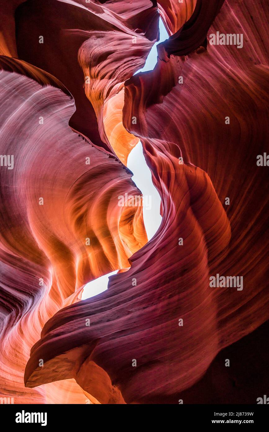 Guardando verso l'alto dal fondo del canyon antilope. Foto Stock