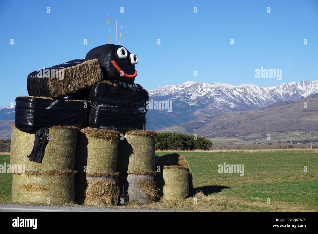 pupazzo sorridente fatto di balle di fieno nei pirenei, francia Foto Stock