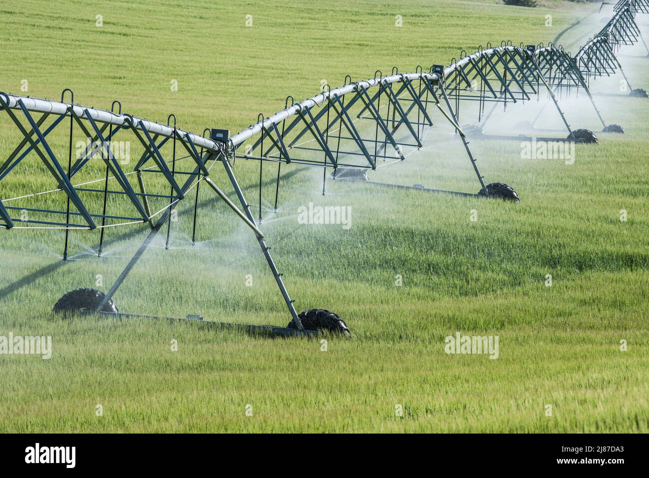 I campi sono irrigati da perni circolari, che forniscono acqua a colture in crescita presso Deer Parks WMU, Menan, Idaho, USA Foto Stock