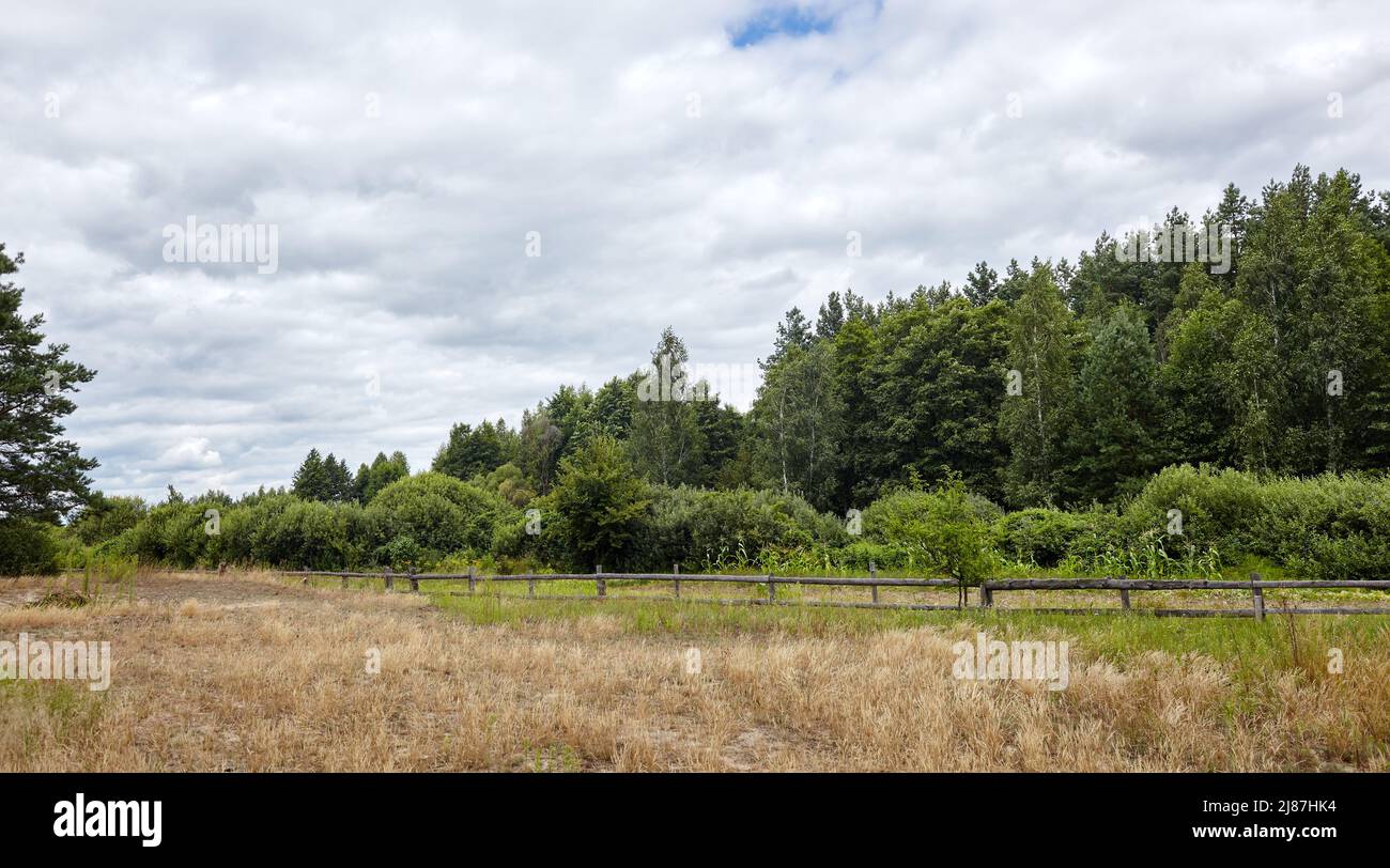Foto panoramica di un vecchio cortale di legno contro un cielo blu in una giornata di sole. Paddock in erba su terreno agricolo con recinzione in legno su sfondo forestale denso. Rurale Foto Stock