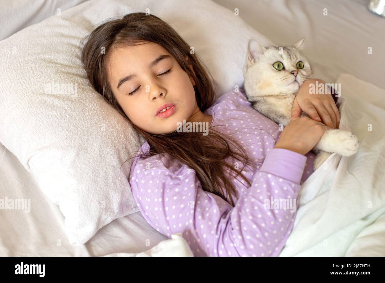 Una ragazza piccola affascinante in pigiama viola dorme abbracciando un gatto bianco affascinante adagiato su un cuscino bianco sul letto. Foto Stock