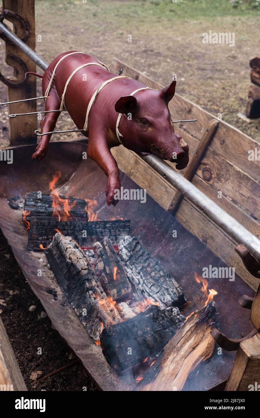 Maialino alla griglia, arrosto di maiale. Cottura di un maiale intero piccolo sul fuoco Foto Stock