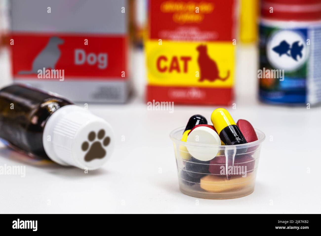 medicina per uso veterinario, pillole e capsule per animali domestici e animali, medicina veterinaria per cani, gatti e pesci sullo sfondo, spazio copia Foto Stock