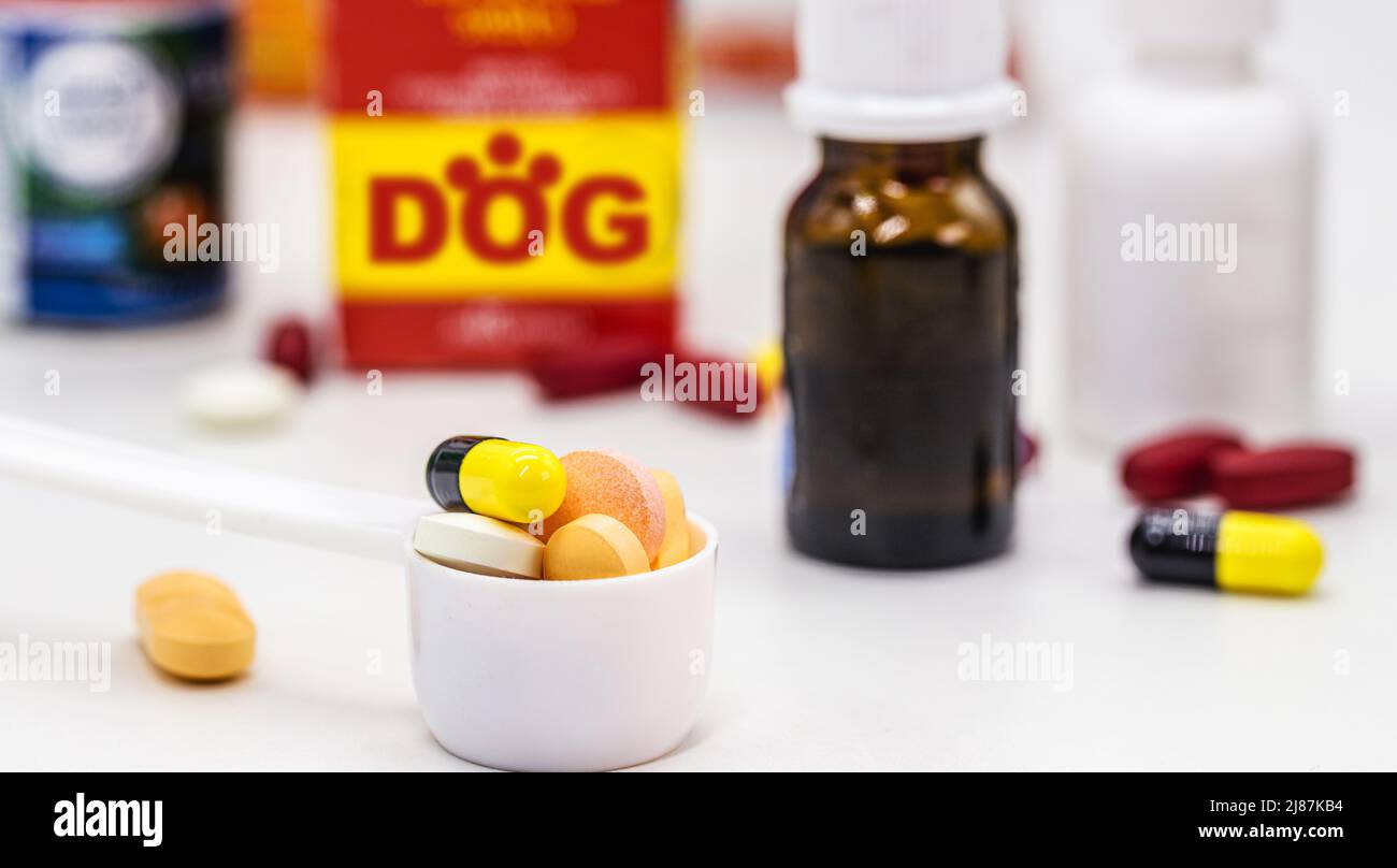 medicina o vitamina per cani, farmaco veterinario per animali domestici Foto Stock