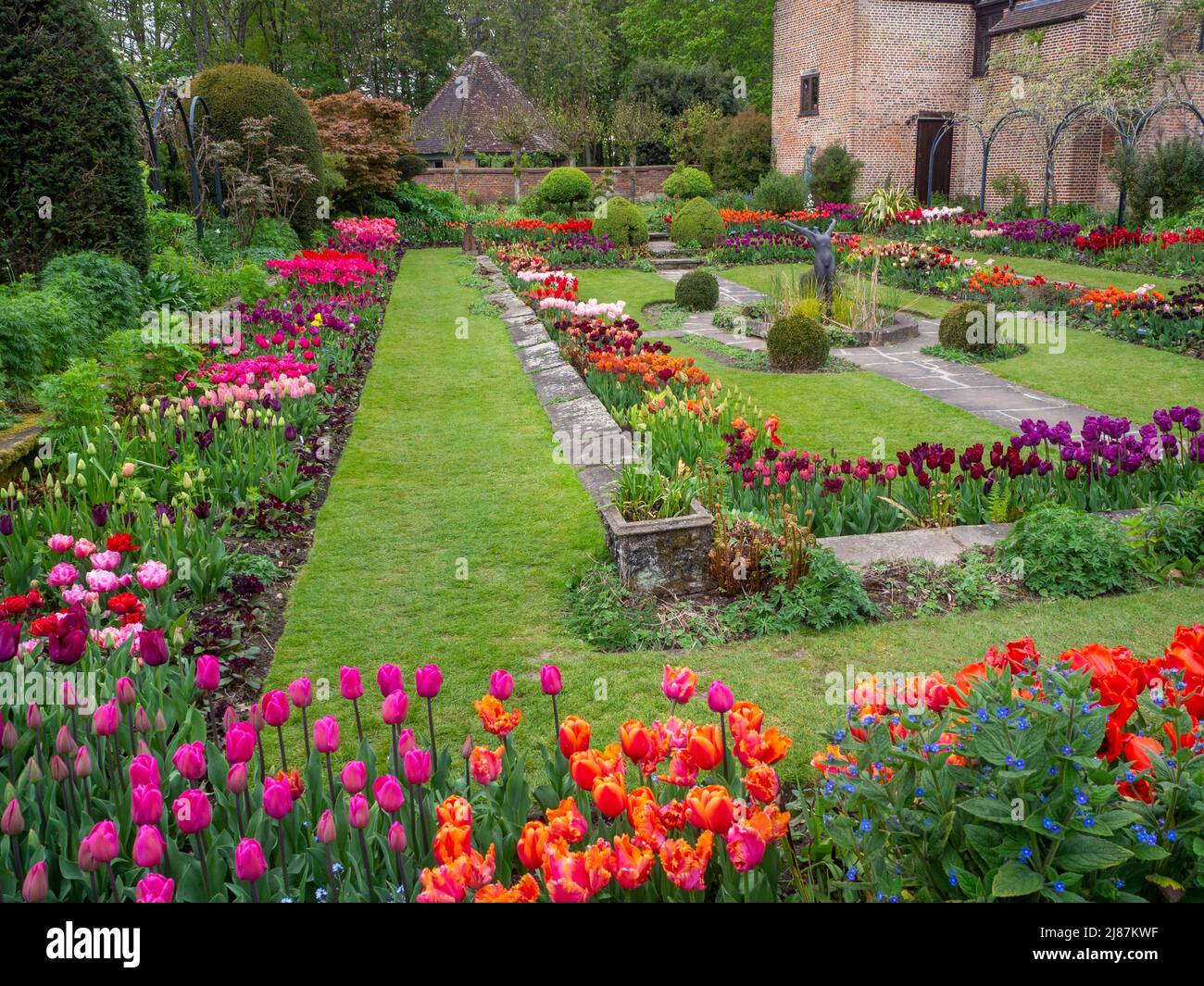 Chenies Manor Garden Sunken Garden a Tulip season.Overcast tempo, ma colori vibranti. Tulipani 'Pieter de Leur', 'Backpacker', rosa, arancione, rosso. Foto Stock