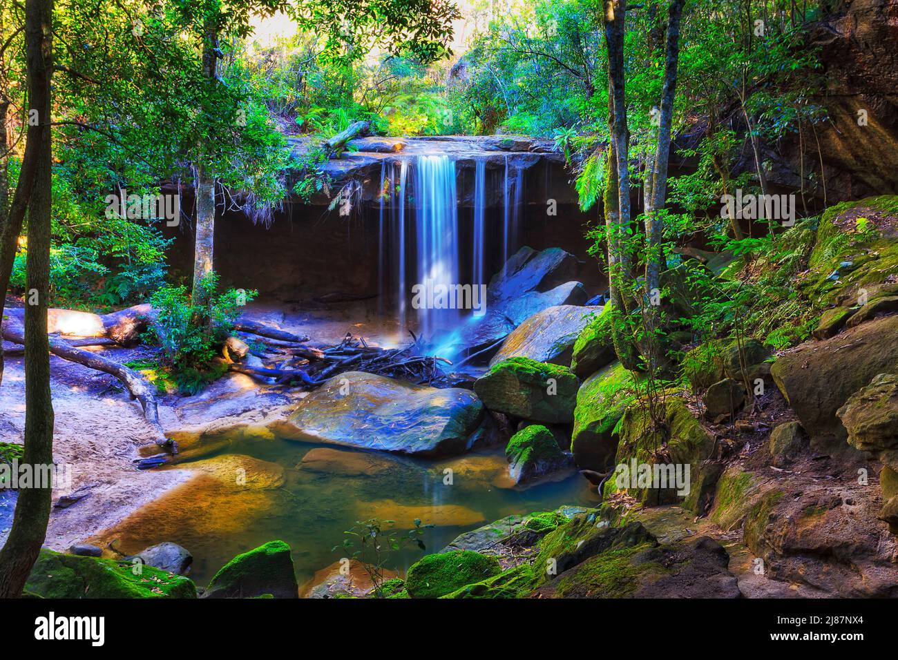 Fata coda boschi nel parco nazionale delle Blue Mountains dell'Australia - Hazelbrook Creek sentiero a piedi con Oakland caduta grotta rocciosa e ruscello. Foto Stock