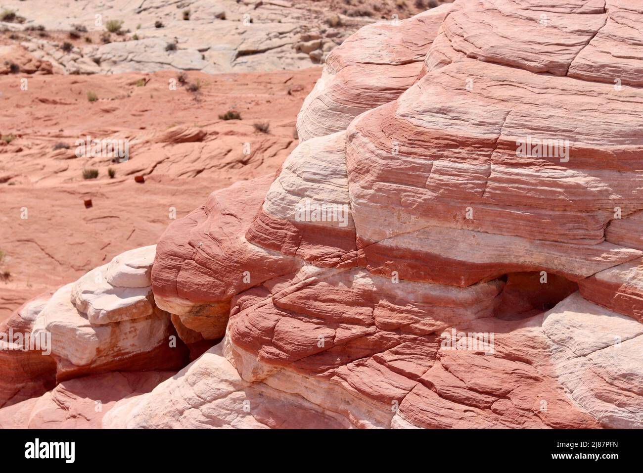 Fire Wave Trail presso il Valley of Fire state Park Foto Stock