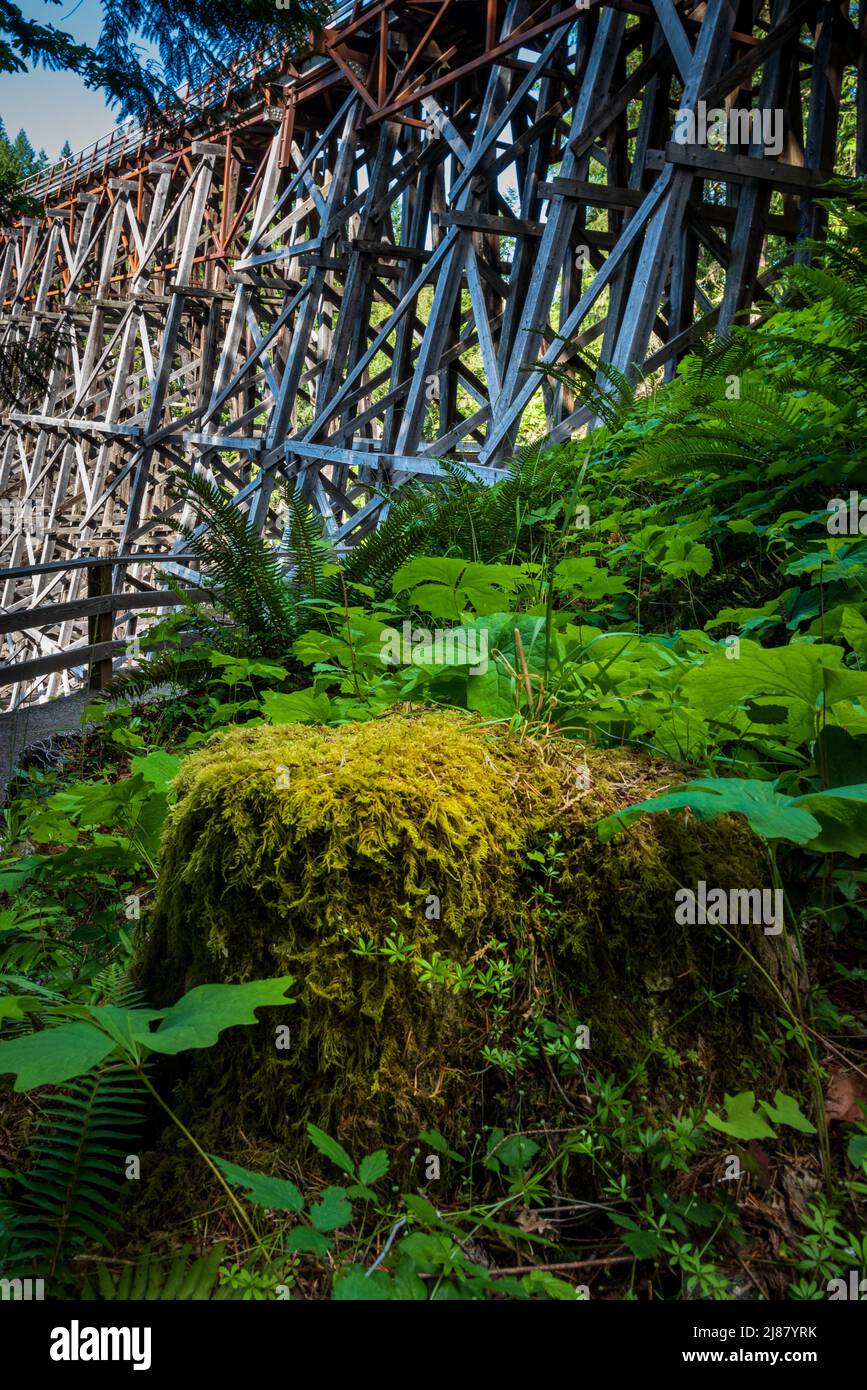 Ponte ferroviario classico a traliccio nella British Columbia, Canada. Foto Stock