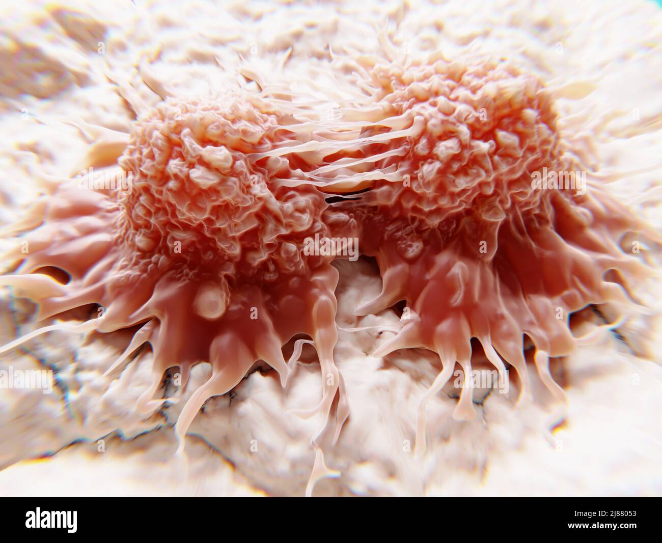 Divisione delle cellule tumorali, illustrazione Foto Stock