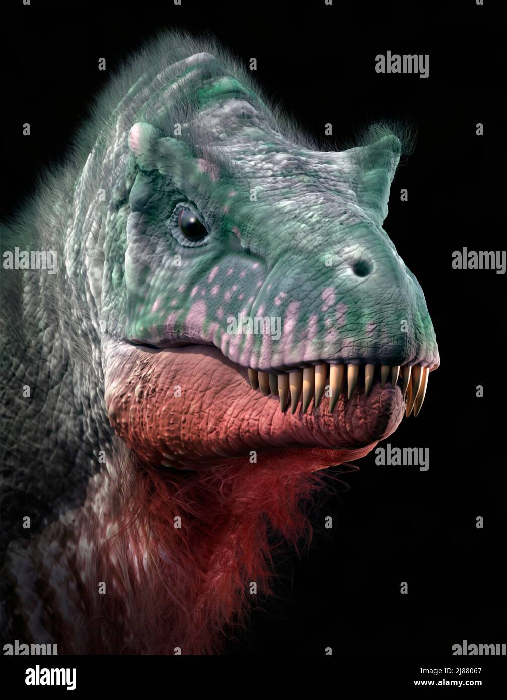 Tyrannosaurus Rex Head Study Foto Stock