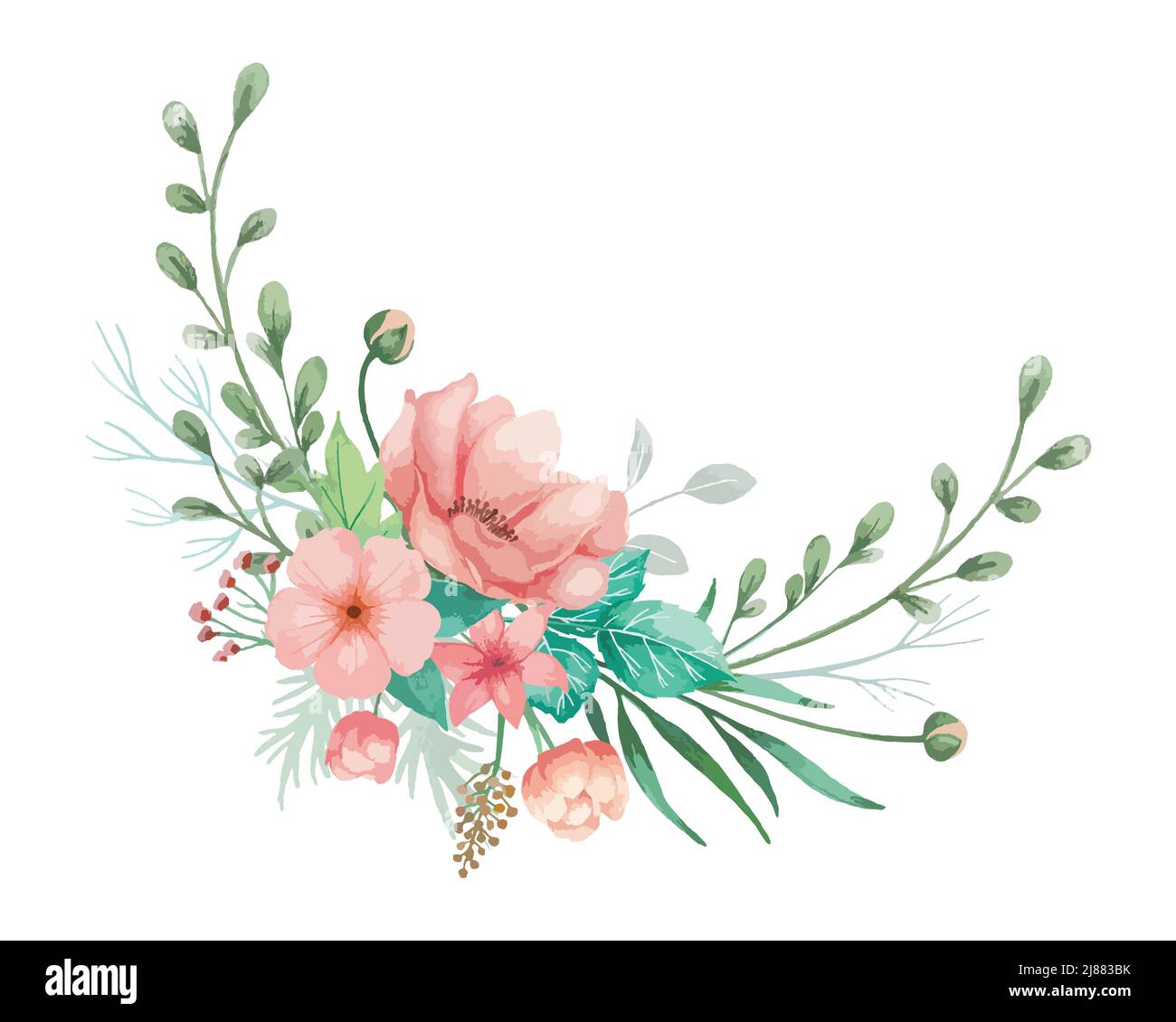 Acquerello fiori illlustration per l'invito di nozze con anemoni di corallo, germogli e foglie verdi. Fiore di minaccia con sfondo bianco. Illustrazione Vettoriale