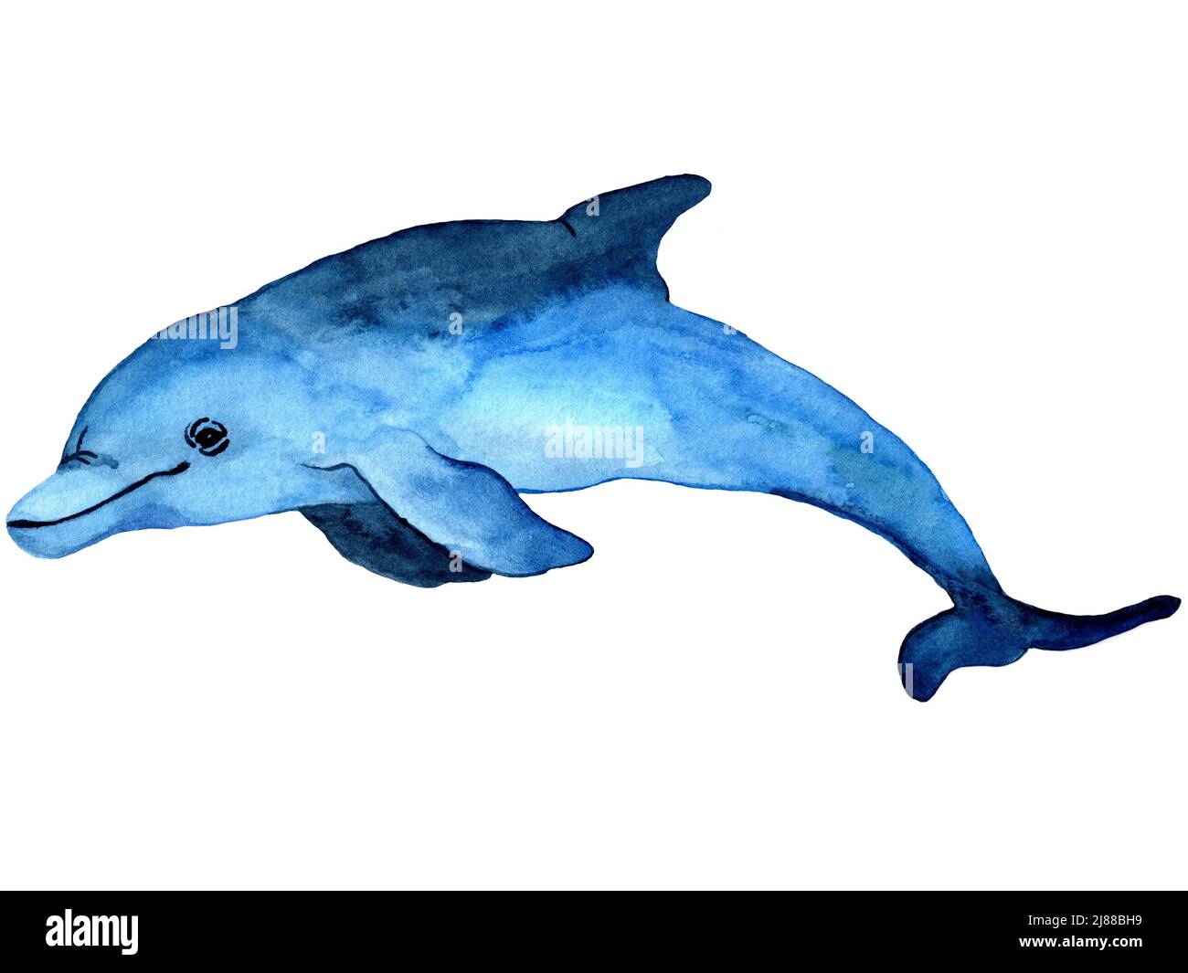 Acquerello illustrazione disegnata a mano del delfino in colore blu. Sfondo di animali dell'oceano. Animale marino in stile cartone animato. Design per tessuti, ceramiche Foto Stock