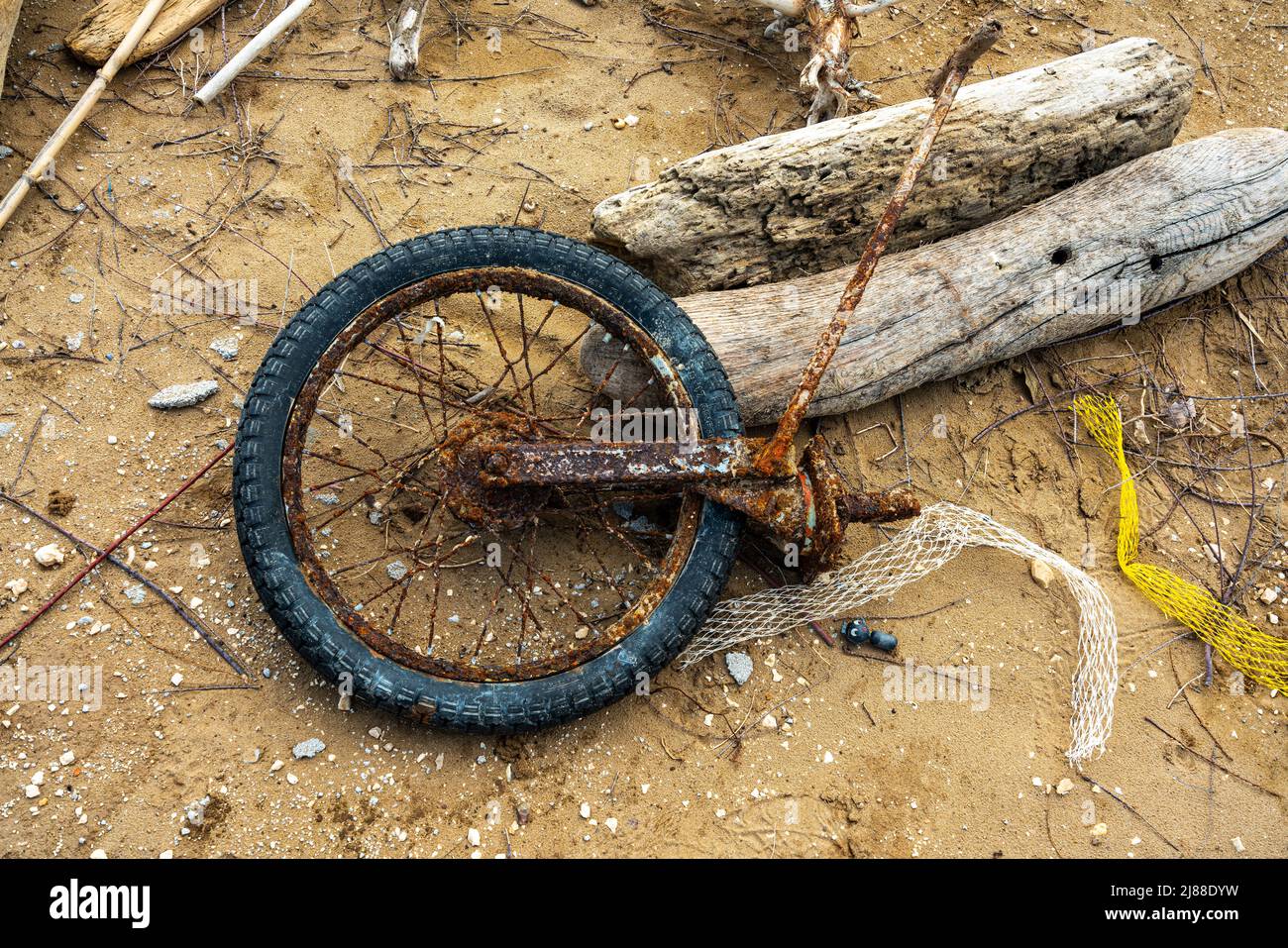 Resti di una bicicletta arrugginita e tronchi portati in spiaggia dalla tempesta. Puglia, Italia, Europa Foto Stock
