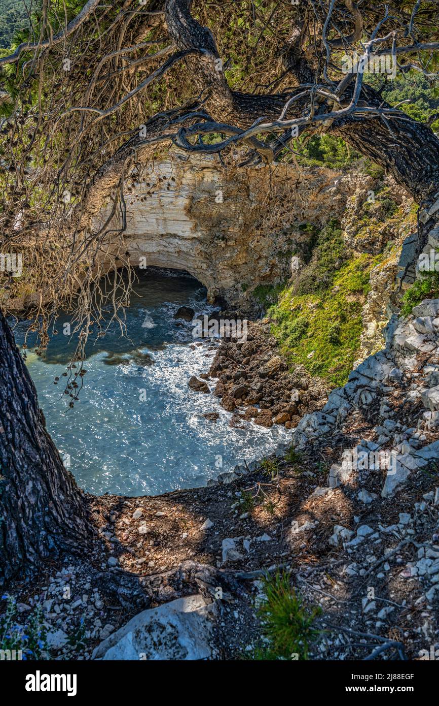 Caverna di mare nella scogliera che domina il promontorio di San Felice. Gargano, provincia di Foggia, Puglia, Italia, Europa Foto Stock