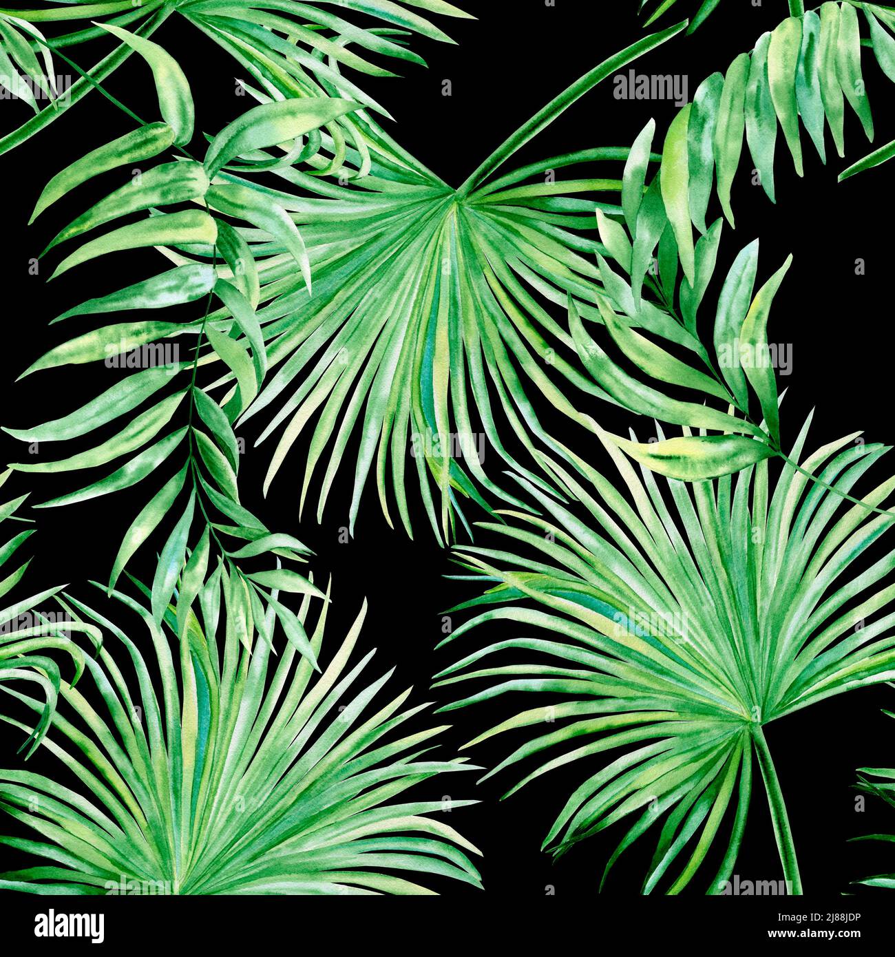 Acquerello modello senza giunture con foglie verdi tropicali. Foglie di palma della giungla disegnate a mano isolate su sfondo nero. Sfondo esotico. Tessuto estivo. L Foto Stock