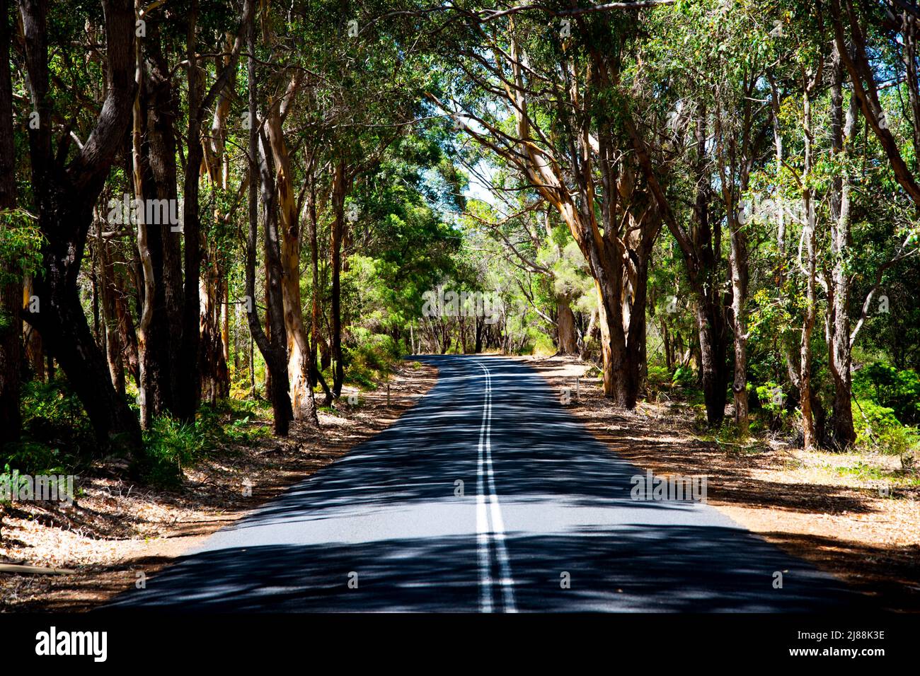 Caves Road - Margaret River - Australia Occidentale Foto Stock